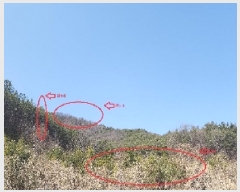  2025Ÿ59   Ȳ ︮ 4      (Ӿ)