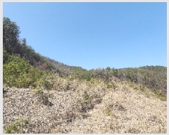  2025Ÿ59   Ȳ ︮ 4      (Ӿ)