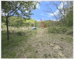  2025Ÿ��66 ��� ��õ�� ��õ�� ������ 124      ����(��1)���