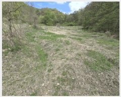  2025Ÿ��66 ��� ��õ�� ��õ�� ������ 124      ����(��1)���