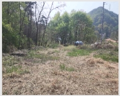  2025Ÿ��66 ��� ��õ�� ��õ�� ������ 124      ����(��1)���