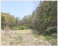  2025Ÿ��66 ��� ��õ�� ��õ�� ������ 124      ����(��1)���