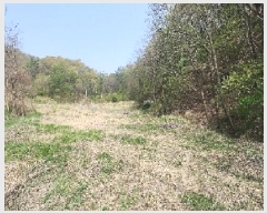  2025Ÿ��66 ��� ��õ�� ��õ�� ������ 124      ����(��1)���