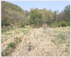  2025Ÿ��66 ��� ��õ�� ��õ�� ������ 124      ����(��1)���