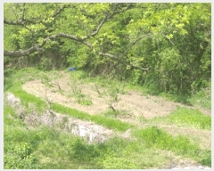  2025Ÿ��72 ��� ��õ�� û���� �ɿ��� 163-3      ����(��1)���