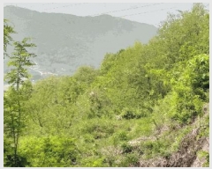  2025Ÿ��72 ��� ��õ�� û���� �ɿ��� 163-3      ����(��1)���