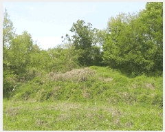  2025Ÿ��72 ��� ��õ�� û���� �ɿ��� 163-3      ����(��1)���