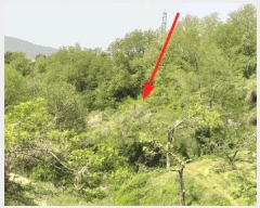  2025Ÿ��72 ��� ��õ�� û���� �ɿ��� 163-3      ����(��1)���