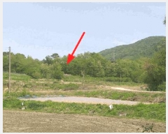  2025Ÿ��72 ��� ��õ�� û���� �ɿ��� 163-3      ����(��1)���