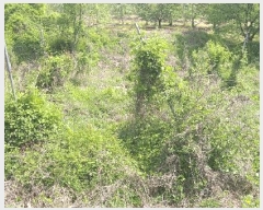  2025Ÿ��72 ��� ��õ�� û���� �ɿ��� 163-3      ����(��1)���