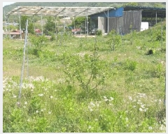  2025Ÿ��72 ��� ��õ�� û���� �ɿ��� 163-3      ����(��1)���