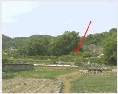  2025Ÿ��74  ����