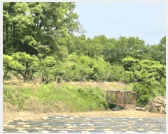  2025Ÿ��74  ����