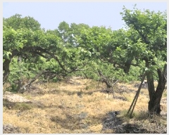  2025Ÿ��74  ����