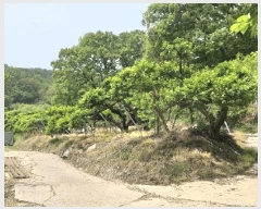  2025Ÿ��74  ����