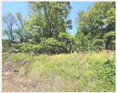  2025Ÿ��74  ����