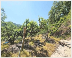  2025Ÿ��74  ����