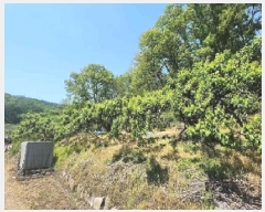  2025Ÿ��74  ����