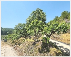  2025Ÿ��74  ����