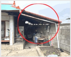  2025Ÿ��76  ���ð��