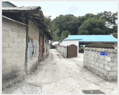  2025Ÿ��76  ���ð��