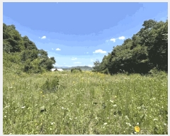  2025Ÿ��78 ��� ������ ��õ�� ���縮 380-4      ����(��1)���