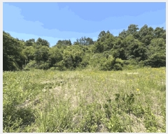  2025Ÿ��78 ��� ������ ��õ�� ���縮 380-4      ����(��1)���