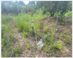  2025Ÿ��78 ��� ������ ��õ�� ���縮 380-4      ����(��1)���