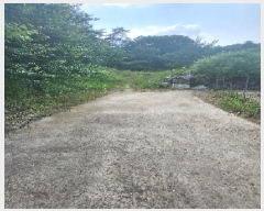  2025Ÿ��78 ��� ������ ��õ�� ���縮 380-4      ����(��1)���