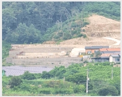  2025Ÿ��82 ��� ��õ�� û��� ���� 185-1      ����(��1)���