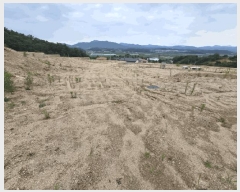  2025Ÿ��82 ��� ��õ�� û��� ���� 185-1      ����(��1)���