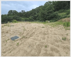  2025Ÿ��82 ��� ��õ�� û��� ���� 185-1      ����(��1)���