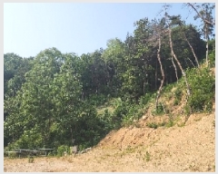  2025Ÿ��82 ��� ��õ�� û��� ���� 185-1      ����(��1)���