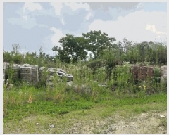  2025Ÿ��84 ��� ������ ��ǳ�ɸ� ������ 842-1      ����(��1)���