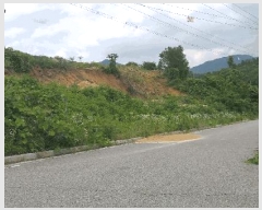  2025Ÿ��84 ��� ������ ��ǳ�ɸ� ������ 842-1      ����(��1)���