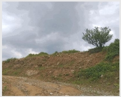  2025Ÿ��84 ��� ������ ��ǳ�ɸ� ������ 842-1      ����(��1)���