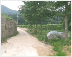  2025Ÿ��84 ��� ������ ��ǳ�ɸ� ������ 842-1      ����(��1)���