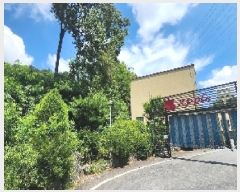  2025Ÿ��91  ���ڽü����