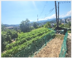  2025Ÿ��93 ��� ������ ������ �ο븮 370-3      ����(��1)���