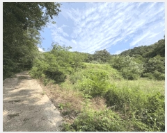  2025Ÿ��97 ��� ������ ���� ���縮 165      ����(������)���