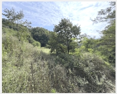  2025Ÿ��97 ��� ������ ���� ���縮 165      ����(������)���