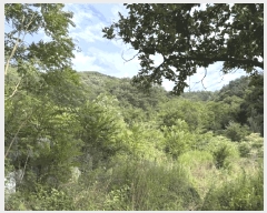  2025Ÿ��97 ��� ������ ���� ���縮 165      ����(������)���