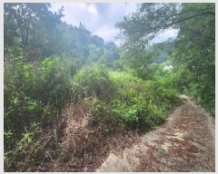  2025Ÿ��97 ��� ������ ���� ���縮 165      ����(������)���