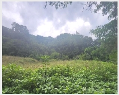  2025Ÿ��97 ��� ������ ���� ���縮 165      ����(������)���