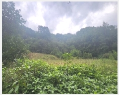  2025Ÿ��97 ��� ������ ���� ���縮 165      ����(������)���