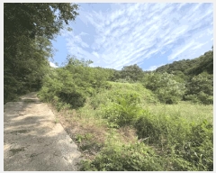  2025Ÿ��97 ��� ������ ���� ���縮 165      ����(������)���