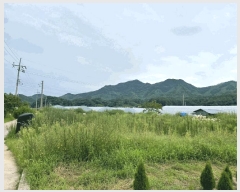  2025Ÿ��99  ����