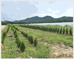  2025Ÿ��99  ����