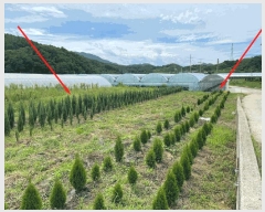  2025Ÿ��99  ����