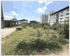  2025Ÿ��103  ���������